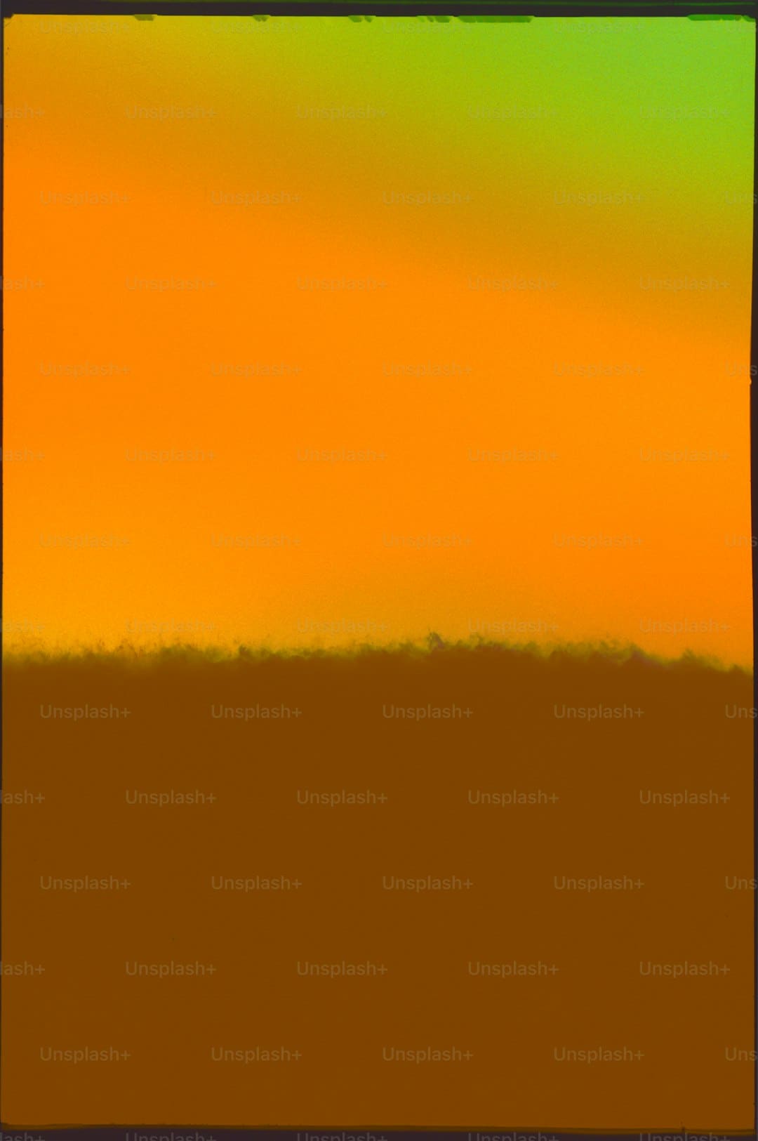 https://static.ws.126.net/163/frontend/images/2022/empty.png